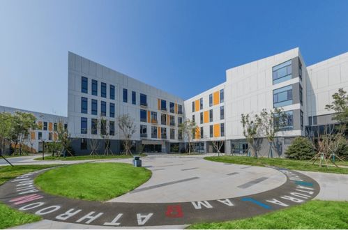 金地配建草場街教育集團(tuán)盛世小學(xué)正式開學(xué) 教育高地再添新坐標(biāo)